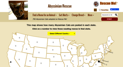 abyssinian.rescueme.org