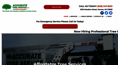 accuratetreeservices.com