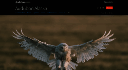 ak.audubon.org