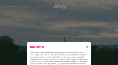 akay-group.com