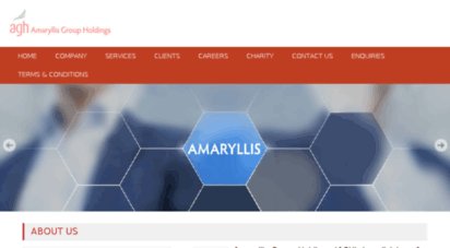 amaryllisgroup.com