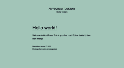 amysquesttoskinny.com