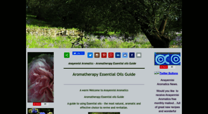 anayennisi-aromatics.com