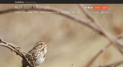 ar.audubon.org