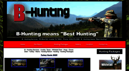 b-hunting.com