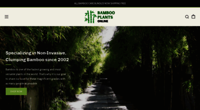 bambooplantsonline.com