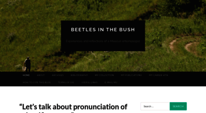 beetlesinthebush.wordpress.com