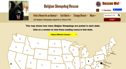 belgiansheepdog.rescueme.org
