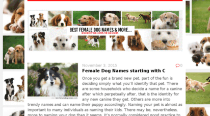 bestfemaledognames.com