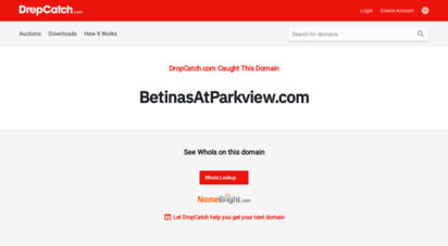 betinasatparkview.com