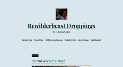 bewilderbees.wordpress.com