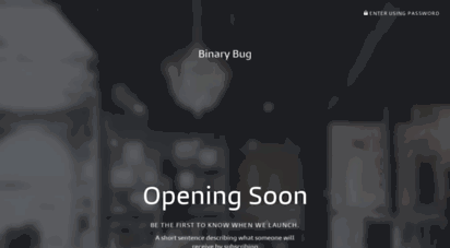 binarybug.com