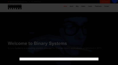 binarysystems.co.in