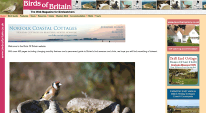 birdsofbritain.co.uk