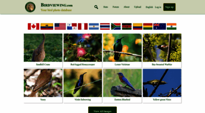 birdviewing.com