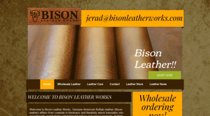 bisonleatherworks.com