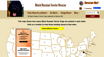 blackrussianterrier.rescueme.org