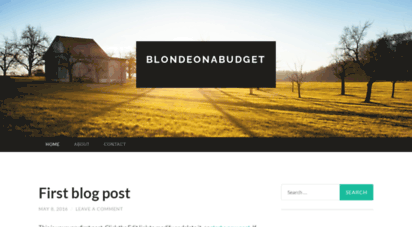 blondeonabudget.wordpress.com