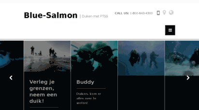 blue-salmon.nl