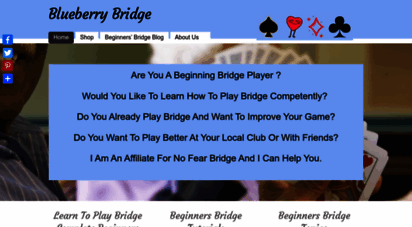 blueberrybridge.com