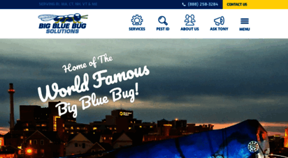 bluebug.com