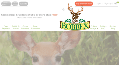 bobbex.hs-sites.com
