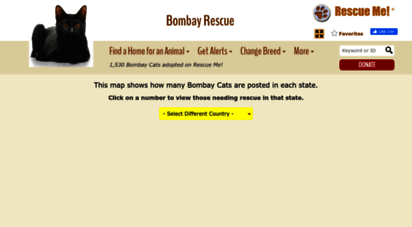 bombay.rescueme.org