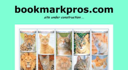 bookmarkpros.com