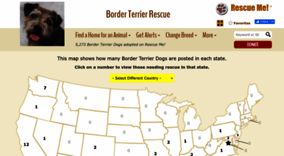 borderterrier.rescueme.org