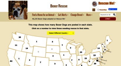 boxer.rescueme.org