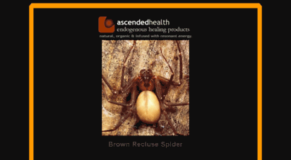 brown-recluse-spider.ascendedhealth.com