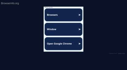 browserinfo.org