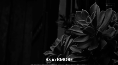 bsinbmore.wordpress.com