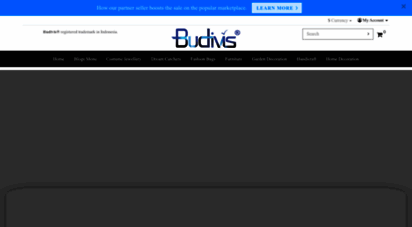 budivis.com