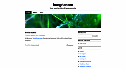 bungrianceo.wordpress.com
