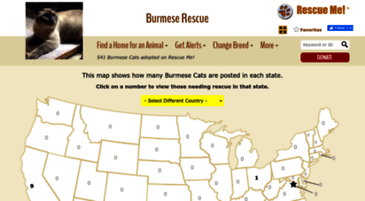 burmese.rescueme.org
