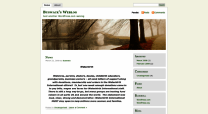 buswack.wordpress.com