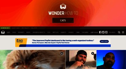 cats.wonderhowto.com