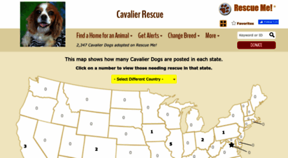 cavalier.rescueme.org