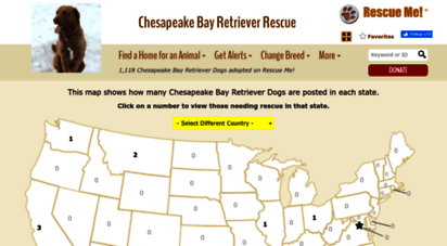 chesapeakebayretriever.rescueme.org