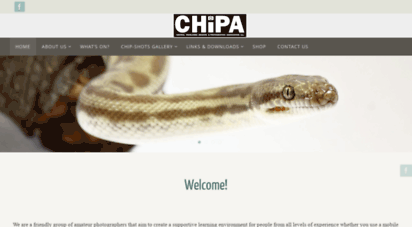 chipa.org.au