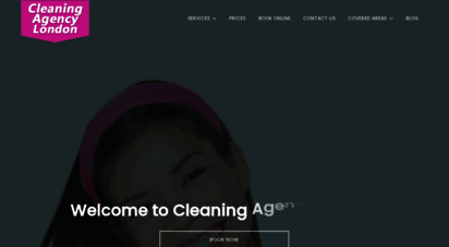 cleaning-agency.co.uk