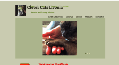 clevercatslivonia.com
