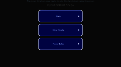 cliviaforum.co.za