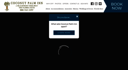coconutpalminn.com