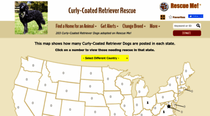 curlycoatedretriever.rescueme.org