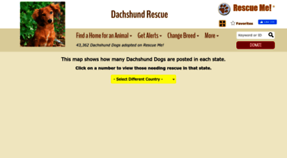 dachshund.rescueme.org
