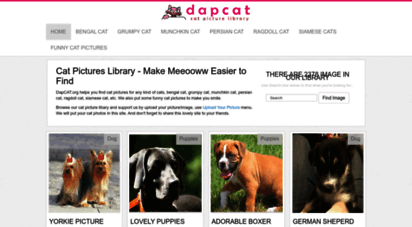 dapcat.org