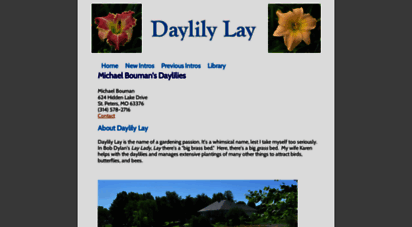 daylilylay.com
