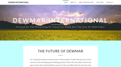 dewmarinternational.com